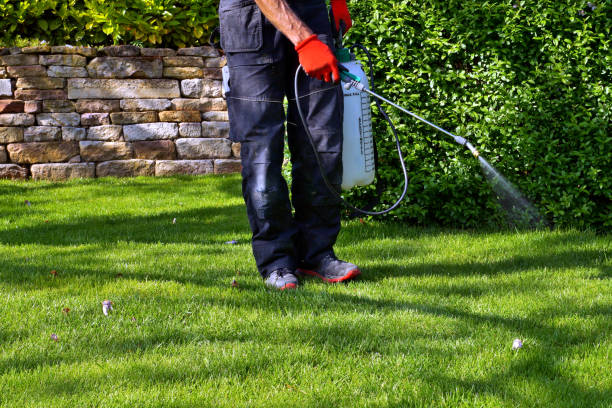 Best Emergency Pest Control  in Minier, IL